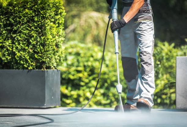 Spring Cleaning in Tonawanda, NY