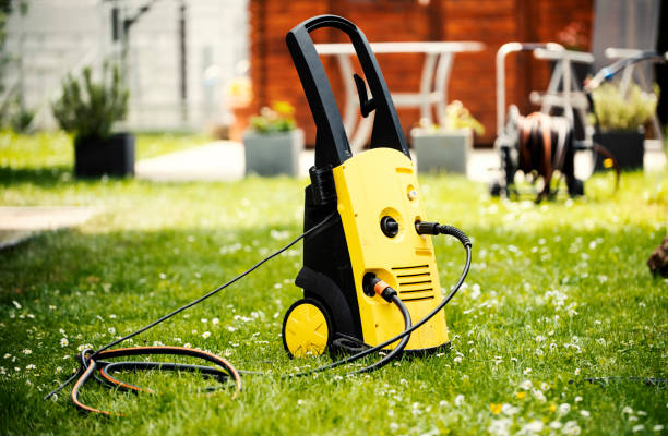 Animal Enclosure Cleaning in Tonawanda, NY